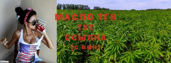 гашик Алапаевск