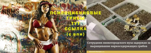 молекула духа Медногорск
