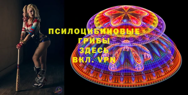 молекула духа Медногорск