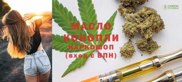 гашик Алапаевск
