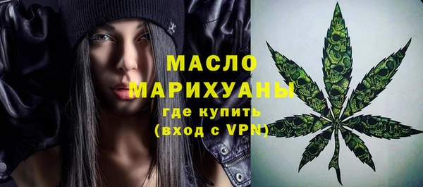 молекула духа Медногорск