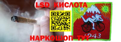 спайс Кимры