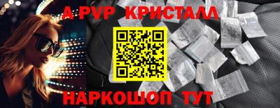 a pvp Кингисепп