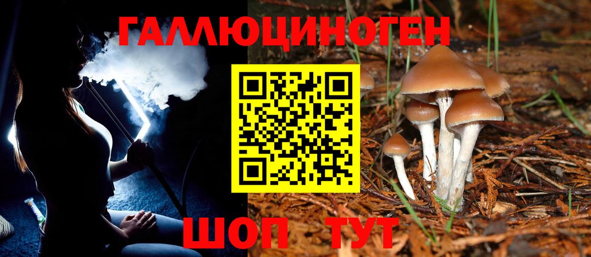 Псилоцибиновые грибы Magic Shrooms  Псилоцибиновые грибы Psilocybe  Новомосковск 