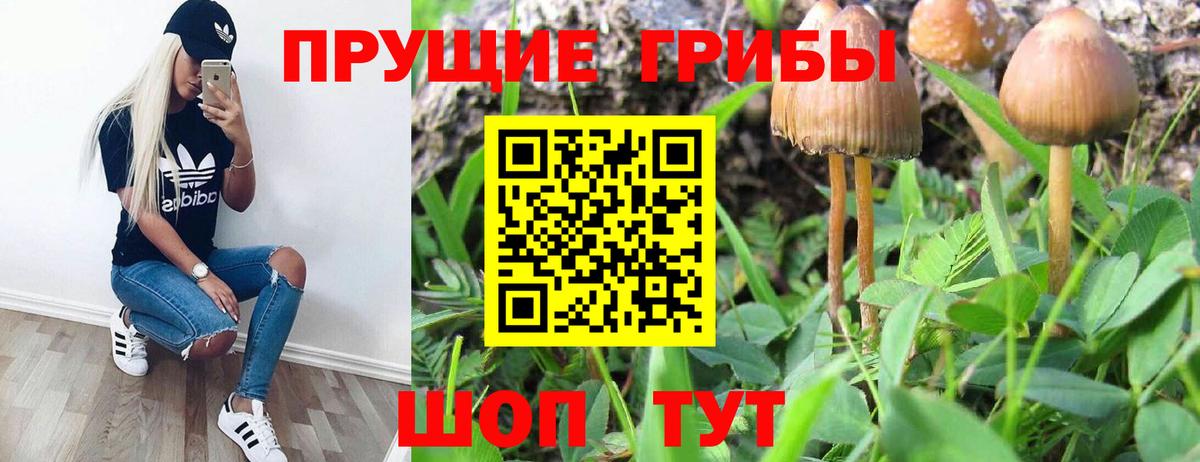 Новомосковск  Псилоцибиновые грибы ЛСД  Вход с VPN  Галлюциногенные грибы Cubensis 